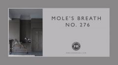 Farrow & Ball Estate Emulsion No. 276 Mole´s Breath 2