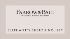 Farrow & Ball Estate Emulsion No. 229 Elephant´s Breath 2