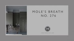 Estate Emulsion 5L Mole's Breath No.276
