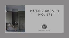 Farrow & Ball Modern Emulsion No. 276 Mole´s Breath 2